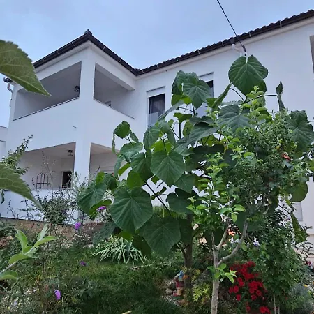 Apartment Leilani & Karolina Vrsi Exterior photo